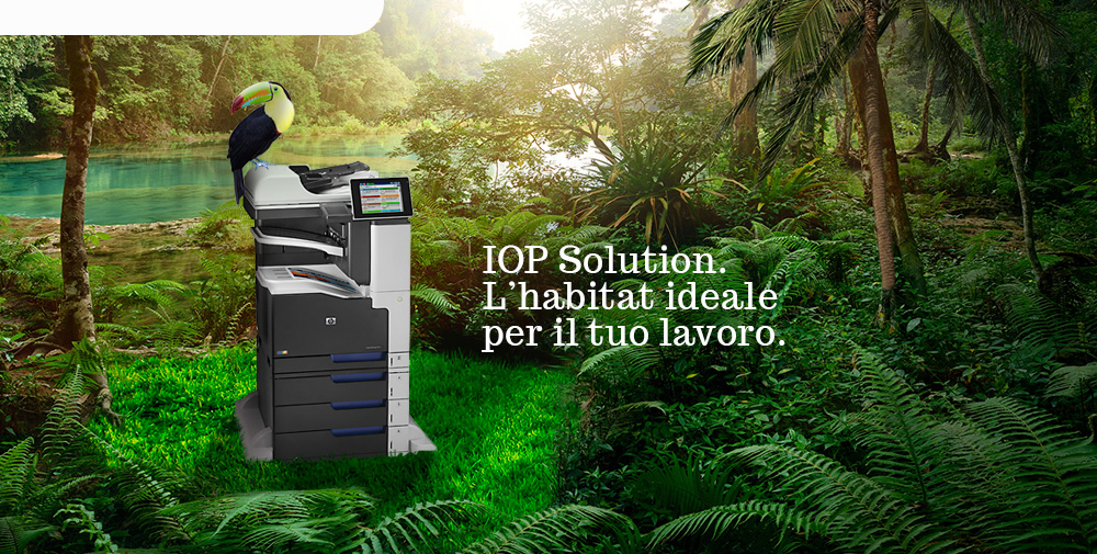 IOP Solution: l'habitat ideale per il tuo lavoro